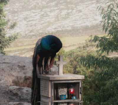 Somewhere - Γιώργος Καμηλάκης [GR]