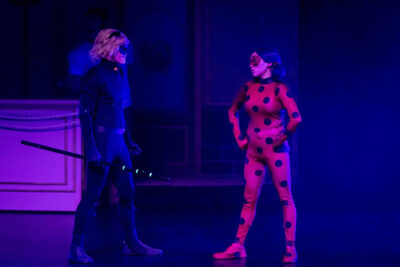 Miraculous: Ιστορίες των Ladybug & Catnoir