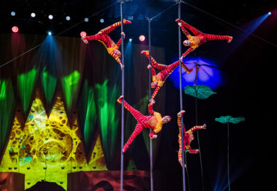 Cirque du Soleil – «OVO»