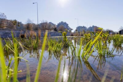 Παραδόθηκε ο αναπλασμένος Ιαπωνικός Κήπος του Νερού στη Νέα Παραλία Θεσσαλονίκης
