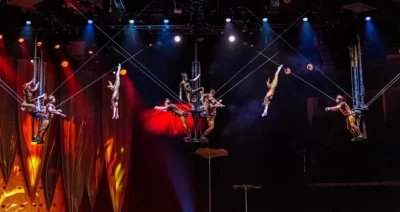 Cirque du Soleil - «OVO»