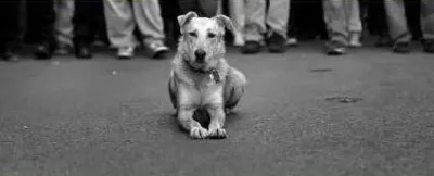 Σαράντα Πλας | Ένα θέατρο ντοκουμέντο για την αποτυχία