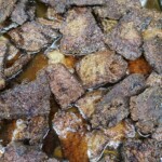 Εστιατόριο Θερμοπύλες