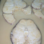 Εστιατόριο Θερμοπύλες