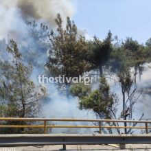 Φωτιά στο Σέιχ Σου – Κλειστή η Περιφερειακή Οδός Θεσσαλονίκης – Εκκενώθηκε το ξενοδοχείο Φιλλίππειον
