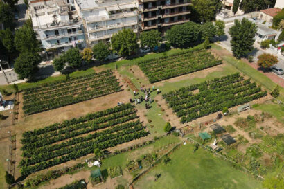 Αστικός Αμπελώνας του Δήμου Θεσσαλονίκης