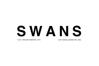 Swans