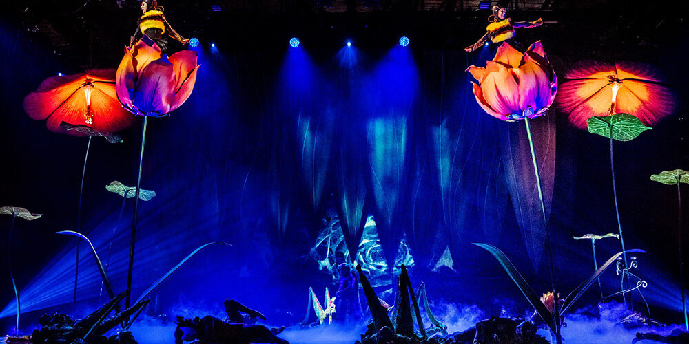 Cirque du Soleil | Στα παρασκήνια του «OVO»: Βρεθήκαμε στον μαγικό κόσμο του Cirque du Soleil στην Αγγλία