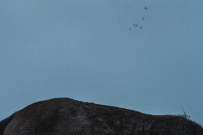 Dusk – Doriyan Todorov [BG]