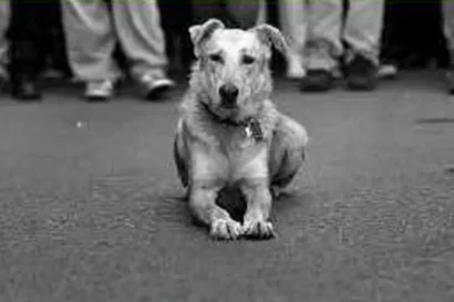 Σαράντα Πλας | Ένα θέατρο ντοκουμέντο για την αποτυχία