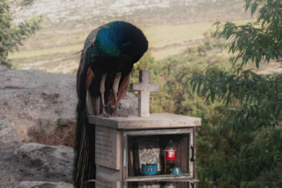 Somewhere – Γιώργος Καμηλάκης [GR]