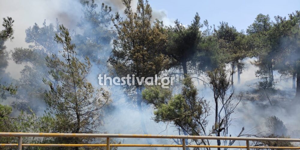 Φωτιά στο Σέιχ Σου – Κλειστή η Περιφερειακή Οδός Θεσσαλονίκης – Εκκενώθηκε το ξενοδοχείο Φιλλίππειον